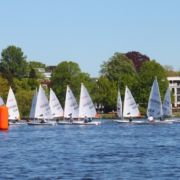ILCAs warten beim Segeltreffen auf den Start